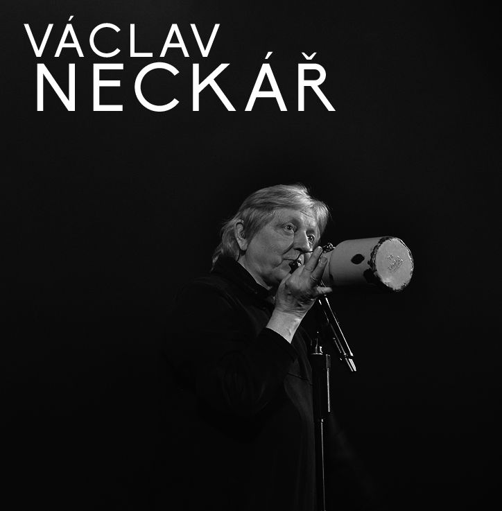 Václav Neckář a Bacily